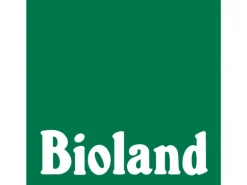 Blu Hugo Cocktail-Minze Topf-Ø ca. 12 cm