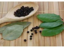 Blu Lorbeerbaum Topf-Ø ca. 12 cm