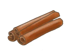 Blu Zimtpflanze Topf-Ø ca. 12 cm