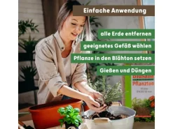 Blusana Blähton Pflanzsubstrat Pflanzton grobe Körnung 8-16 mm 25 l