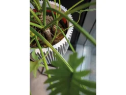 Capi Übertopf "Kugel Groove NL" elegant Elfenbein 34 x 46 cm