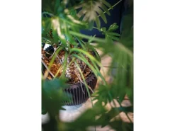 Capi Übertopf "Kugel Groove NL" elegant Schwarz 35 x 34 cm