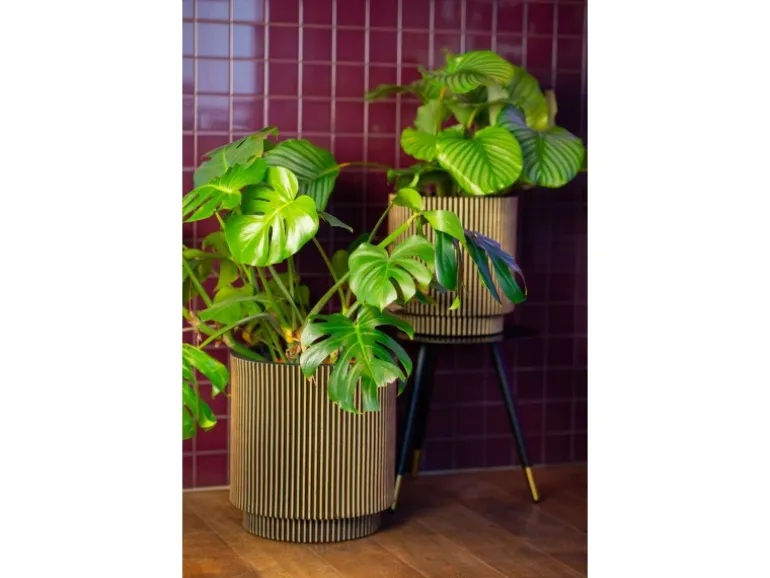 Capi Pflanzgefäß Zylinder Groove Ø 43,5 cm x 46 cm Gold-Schwarz