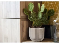 Capi Pflanztopf Groove Kugel Oval Elfenbein 24 cm x 21 cm