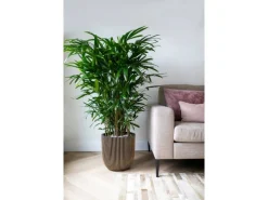 Capi Pflanztopf Kugel Groove Ø 43 cm x 41 cm Gold-Schwarz