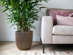 Capi Pflanztopf Kugel Groove Ø 43 cm x 41 cm Gold-Schwarz