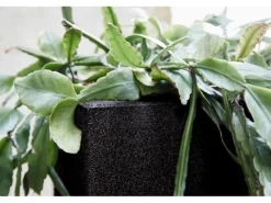 Capi Pflanztopf Smooth viereckig 32 cm x 32 cm x 32 cm Schwarz