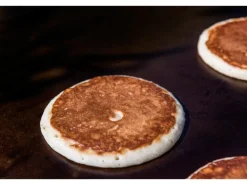 Char-Broil Universal-Grillplatte 38 cm x 39 cm