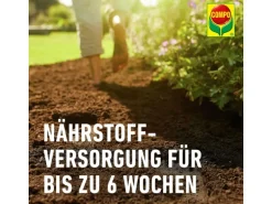 Compo Bio Anzucht- und Kräutererde Torffrei 20 l