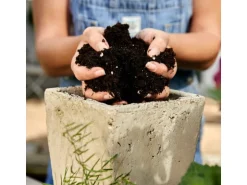 Compo Bio Anzucht- und Kräutererde Torffrei 20 l