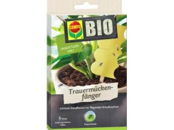 Compo BIO Trauermückenfänger 5 Stück.