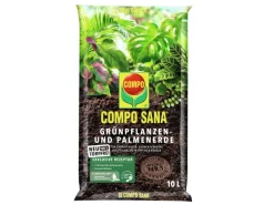 Compo Sana Grünpflanzen- und Palmenerde Torffrei 10 l