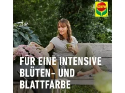 Compo Sana Rhododendronerde 1 x 20 l