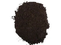 Compo Sana Rhododendronerde 1 x 20 l