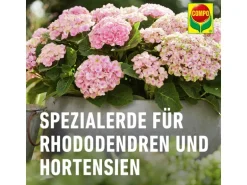 Compo Sana Rhododendronerde 1 x 20 l