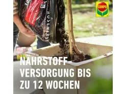 Compo Sana Rosenerde 1 x 20 l