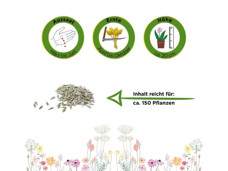 Deine Gartenwelt Mini-Romanasalat Xanadu Samen