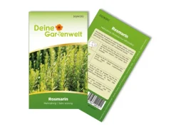 Deine Gartenwelt Rosmarin Samen