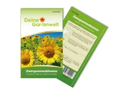 Deine Gartenwelt Zwergsonnenblume Sunspot Samen