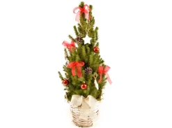 Dekorierte Zuckerhut-Fichte im Korbgefäß Topf Ø ca. 23 cm Picea glauca