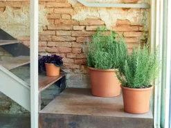 Deroma Pflanzkübel Zylinder Bordato Ø 9 cm Terrakotta