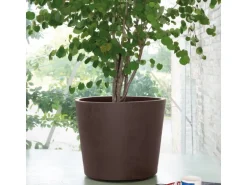 Deroma Pflanztopf Millennium mit Rollen Ø 59 cm Brown