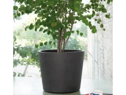 Deroma Pflanztopf Millennium mir Rollen Ø 59 cm Anthrazit