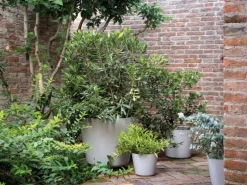 Deroma Pflanztopf Origin Plant Pot 29 cm Hellgrau