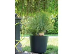 Deroma Pflanztopf Origin Plant Pot 78 cm Anthrazit