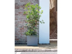 Deroma Pflanztopf Quadro Millenium 39 cm x 39 cm x 39 cm Aschgrau