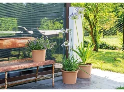 Deroma Pflanztopf Zylinder Bordato 43 cm Weiß