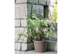 Deroma Pflanztopf Zylinder Primitivo Ø 28 cm Graphit