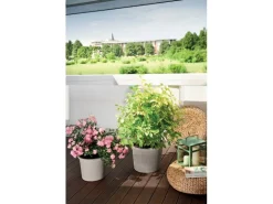 Deroma Pflanztopf Zylinder Primitivo Ø 28 cm Graphit