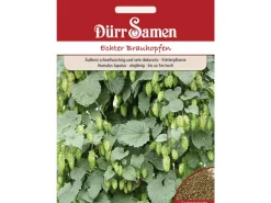 Dürr Samen Echter Brauhopfen Saatgut