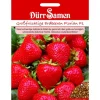 Dürr Samen Erdbeeren Florian F1 Saatgut