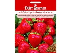 Dürr Samen Erdbeeren Florian F1 Saatgut