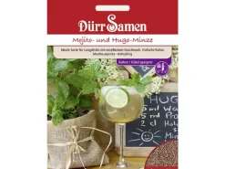 Dürr Samen Mojito- Und Hugo-Minze Saatgut