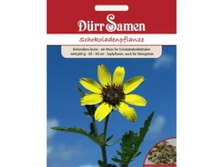 Dürr Samen Schokoladenpflanze Gelb Mit Schokoladenduft Mehrjährig Saatgut