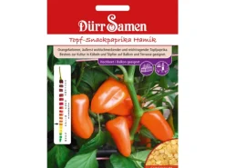 Dürr Samen Topf-Snackpaprika Hamik Saatgut