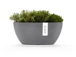 Ecopots Pflanzschale Sofia 30 cm x 13 cm Oval Grau