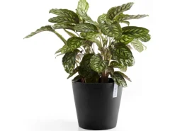 Ecopots Pflanztopf Amsterdam Dunkelgrau Ø 40 cm / Höhe 35 cm