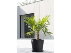 Ecopots Pflanztopf Amsterdam Dunkelgrau Ø 40 cm / Höhe 35 cm