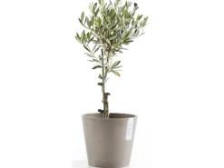 Ecopots Pflanztopf Amsterdam Braungrau 20 cm