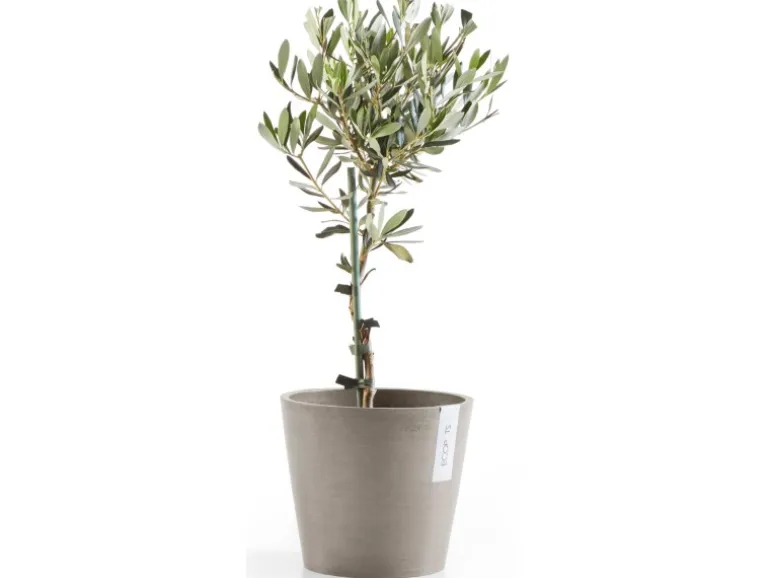 Ecopots Pflanztopf Amsterdam Braungrau 20 cm