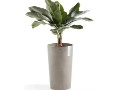 Ecopots Pflanztopf Amsterdam halbhoch Braungrau 50 cm