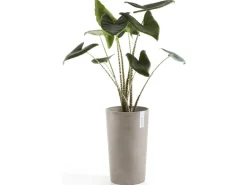 Ecopots Pflanztopf Amsterdam halbhoch Braungrau 50 cm