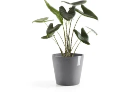 Ecopots Pflanztopf Amsterdam Ø 30 cm x 26 cm Grau