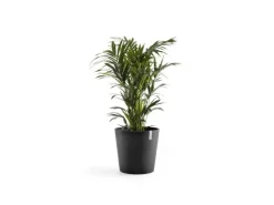 Ecopots Pflanztopf Amsterdam Dunkelgrau 50 cm x 43,8 cm