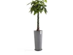Ecopots Pflanztopf Amsterdam High Ø 32,5 cm Grau