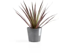 Ecopots Pflanztopf Amsterdam Ø 13 cm x 11 cm Grau